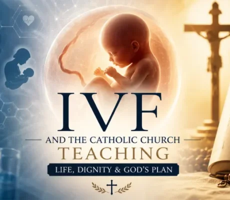 A dramatic split-scene illustration showing an IVF laboratory with a fertilized embryo on the left and a Catholic crucifix, Catechism, and rosary on the right, with an unborn baby at the center representing the Catholic Church's teaching on the dignity of human life.