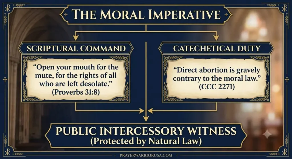 Diagram showing the Catholic moral imperative for public intercessory witness, linking Proverbs 31:8 and CCC 2271.
